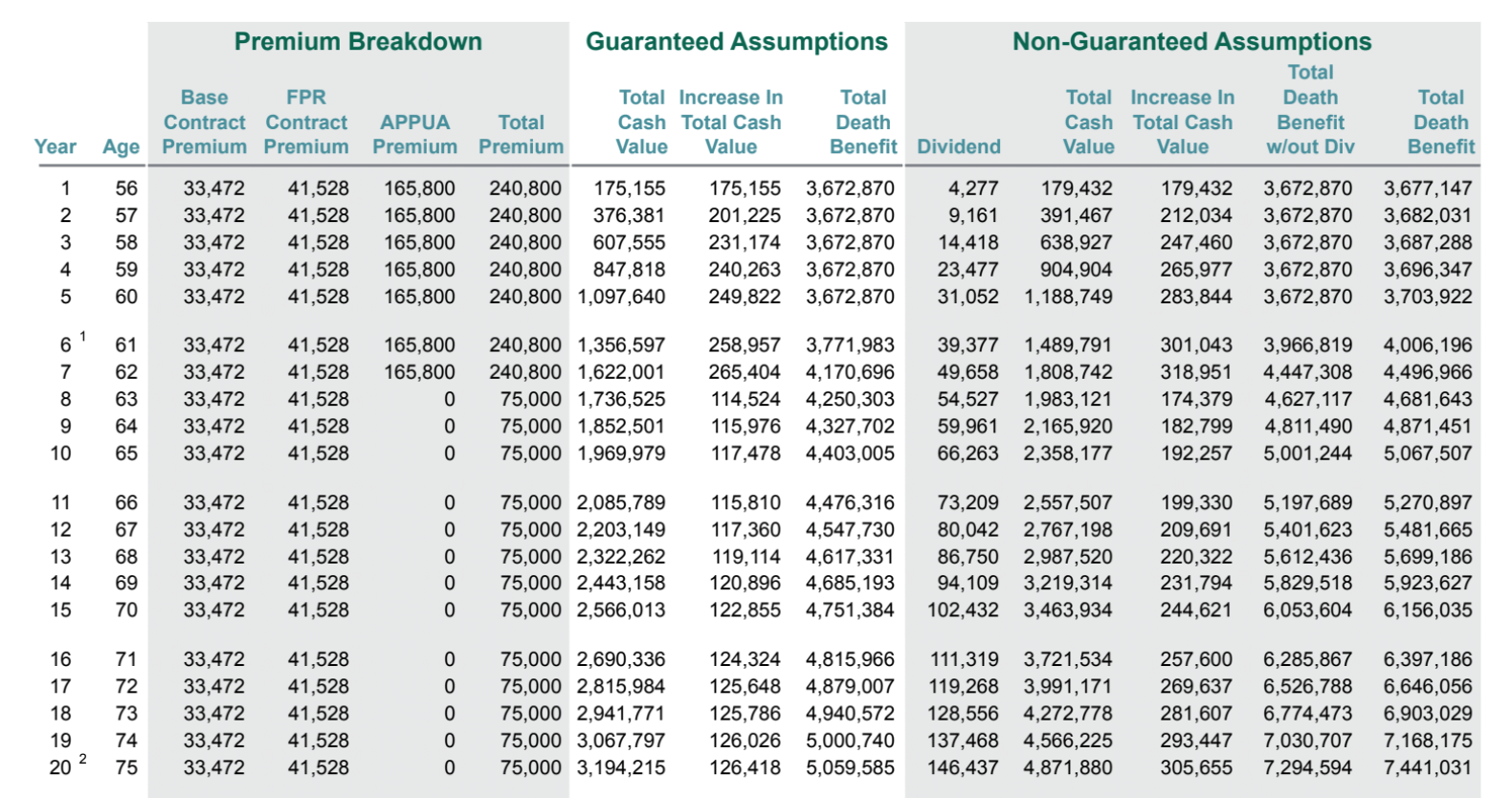 Year-by-year paid-up additions